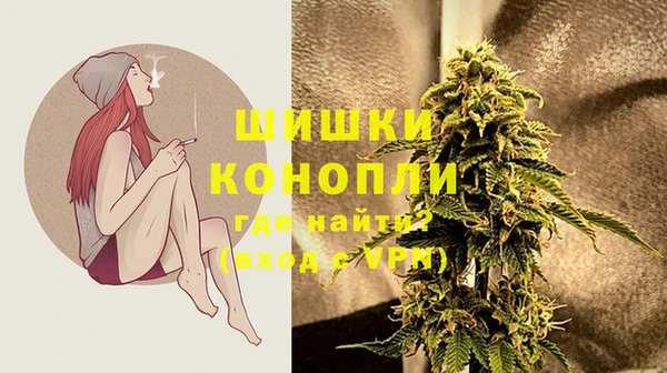 дживик Балахна