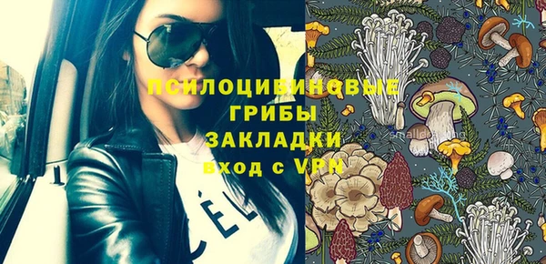 дживик Балахна