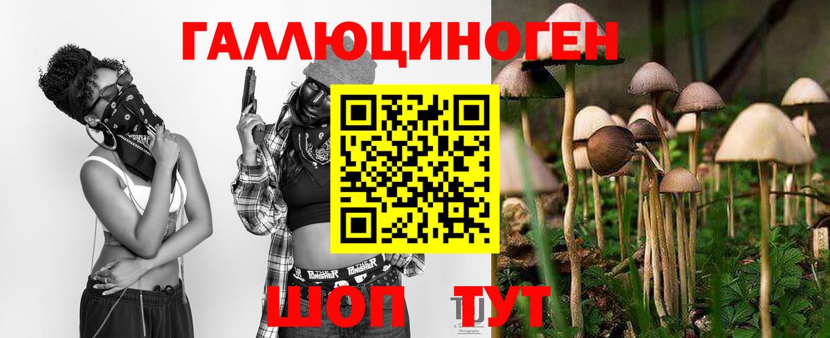 Псилоцибиновые грибы ЛСД Балтийск
