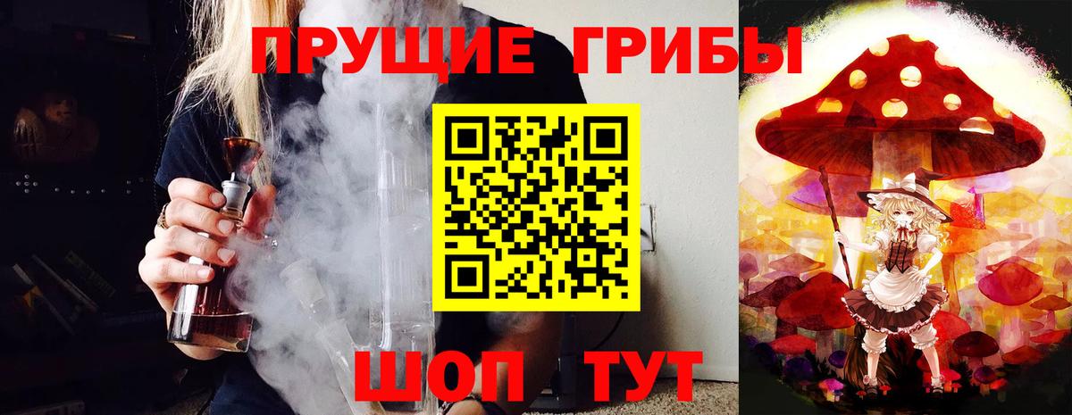 Балтийск  Псилоцибиновые грибы мицелий  Вход с VPN 